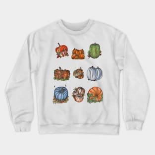 Pumpkin Patch Crewneck Sweatshirt